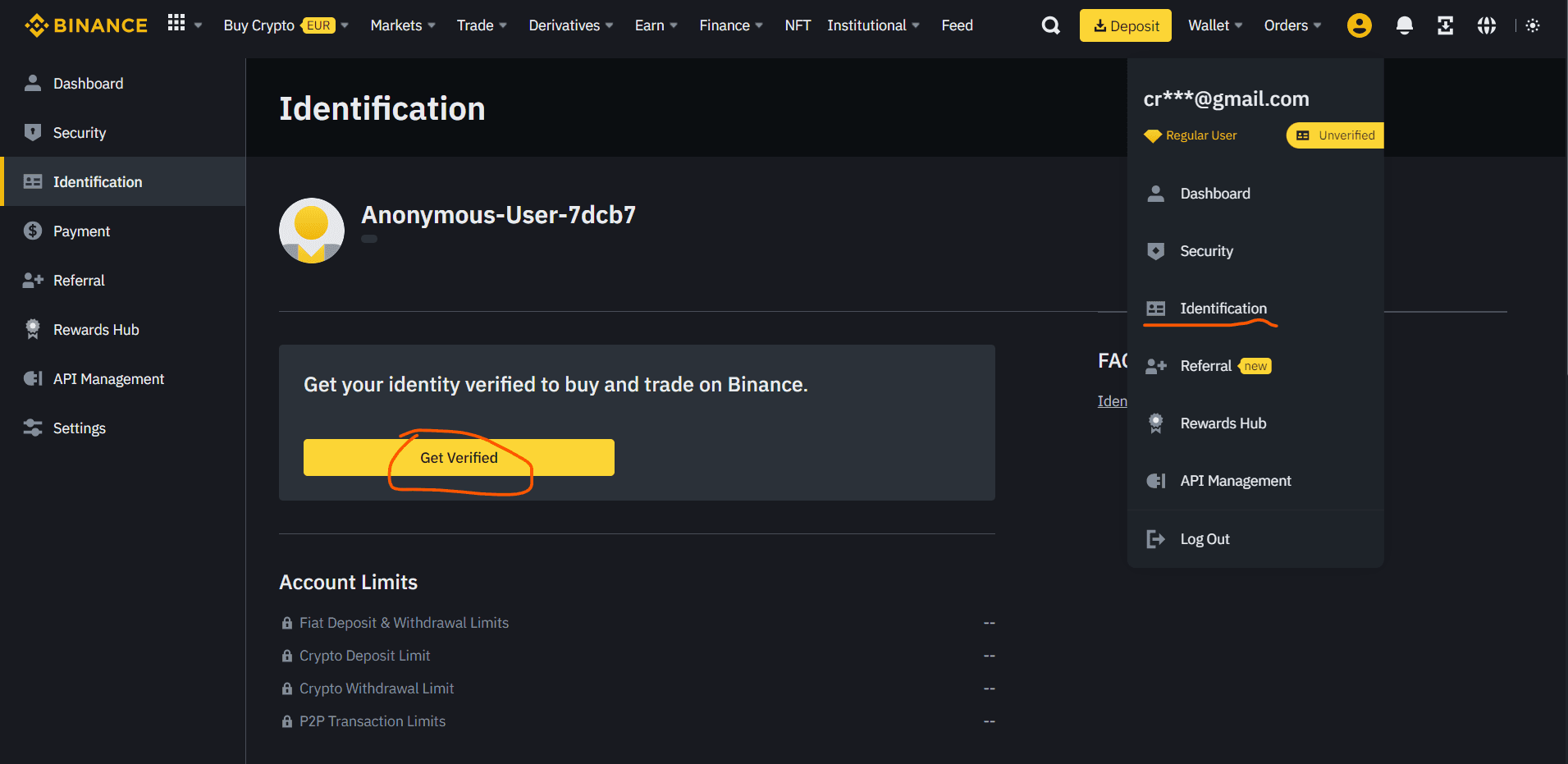 Image of Binance identity verification page